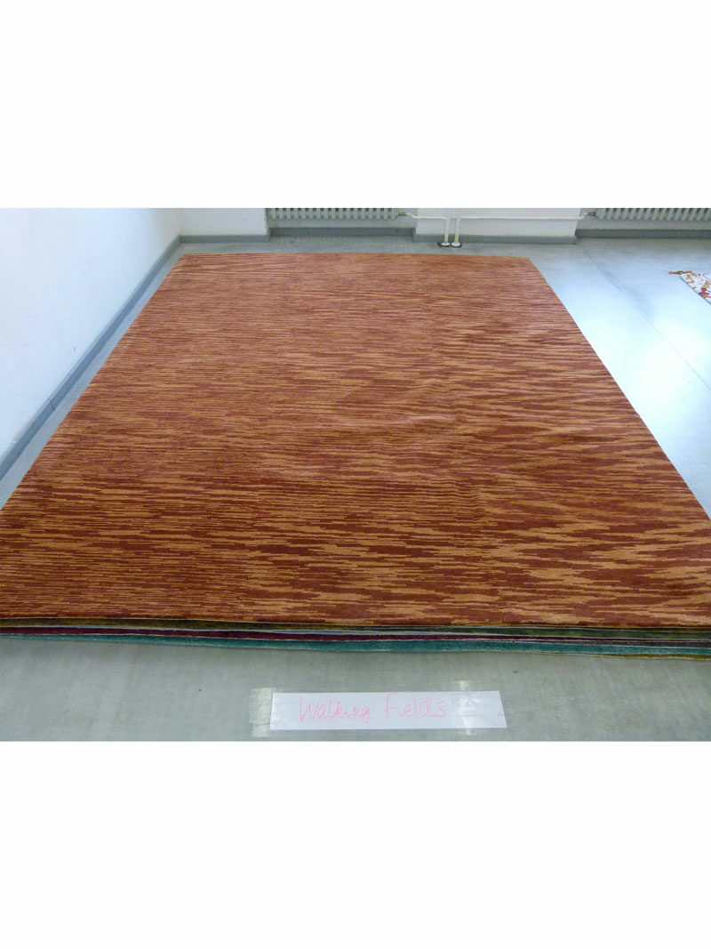Plain-Silk-Abrash-Structure-2-Brown-5&6-ID-101098-RS